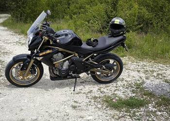 Kawasaki ER6N