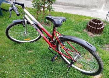 26" Rower RANGER damski /młodzieżowy w dobrym stanie.