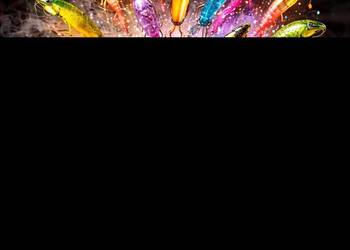 Mystery box karpiowy