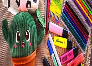 Kaktus Kazik z Gangu Zaradniaków , piórnik w stylu kawaii., dużo mazaków