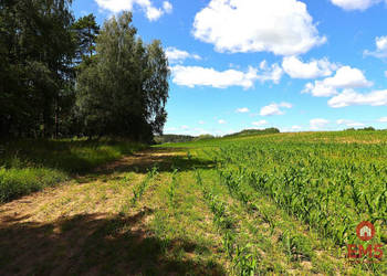 Działka 1100m2 Rożyńsk Wielki