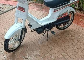 Motorower solo 50cm