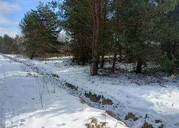 Piękna duża działka budowlana Radawa