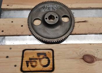 JCB 456 EZX Koło zębate pompy 3942764 {QSC8.3}