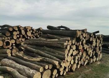 Jesion / Dąb Pocięty na klocki 350zł Połupany 400zł 1M Możliwy transport 66