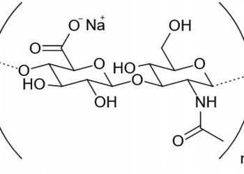 Kwas Hialuronowy HMW Hyaluronic Acid 1g
