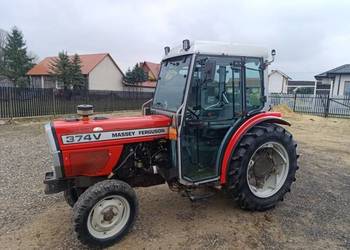 Massey Ferguson 374V sadowniczy, zarejestrowany