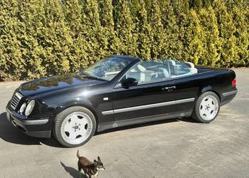 CLK Cabrio stan kolekcjonerski wszystko jak nowe