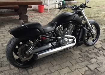 Harley Davidson v rod Muscle