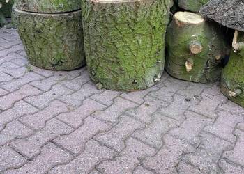 Drewno opałowe tanio dużo