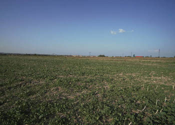 Działka budowlana/inwestycyjna, Lublin, 0,82 ha