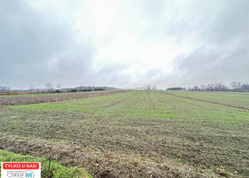 Działka 5800m2 Gnojno