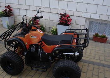 Quad ATV 110