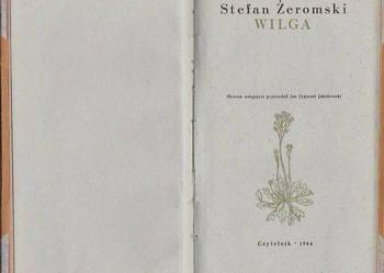 (7355) WILGA – STEFAN ŻEROMSKI