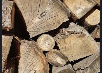 Drewno kominkowe i opałowe