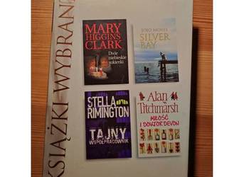 Dwie Niebieskie Sukienki Silver Bay Tajny Współpracownik Miłość I Doktor