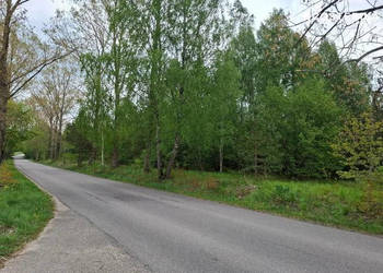 Oferta sprzedaży gruntu 8165m2 Sobącz