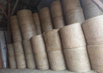 Słoma żytnia , 100 sztuk