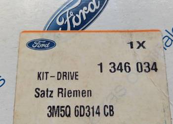 1346034/3M5Q-6D314-CB Pasek wielorowkowy Ford Focus II