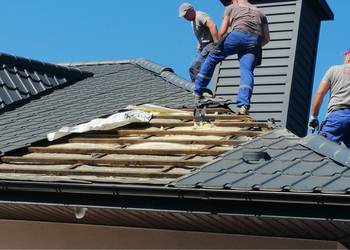 Zwalczanie kuny domowej kuna na poddaszu dachu Naprawy izola Wadowice