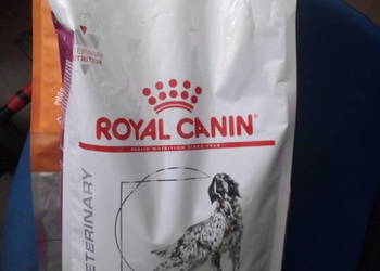Sucha karma dla psa Royal Canin Veterinary Diet renal 2kg