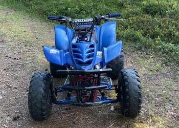 SPRZEDAM BASHAN 150