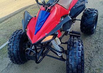 Quad 125 3+ WSTECZNY