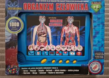 Interaktywny organizm człowieka