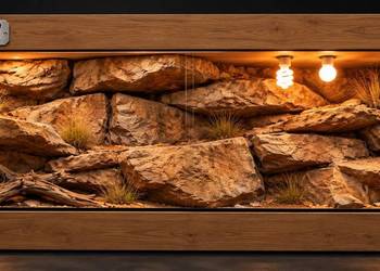 Terrarium pustynne dla agamy brodatej żółwia greckiego