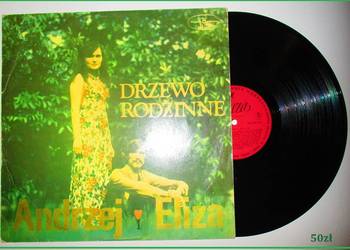 Andrzej i Eliza-Drzewo Rodzinne / LP / płyta / Rybiński
