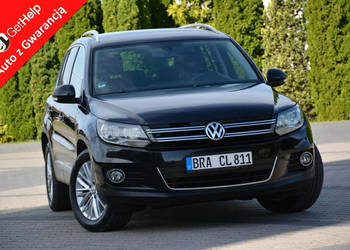 Volkswagen Tiguan Parkassist Navi Klimatronic Chromy Relingi El.Hak Alu 17…