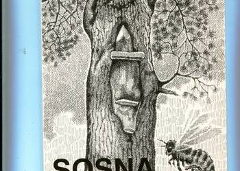 Sosna Materiały z sesji poświęconej sośnie