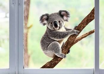 Naklejka na szybę z Misiem