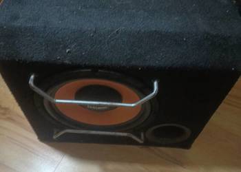 Skrzynia basowa z nowym głośnikiem