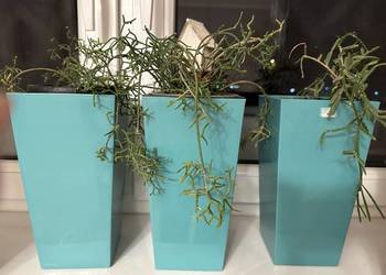 Doniczka  osłonka LAMELA - finezja