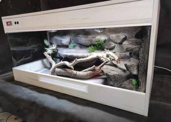 Terrarium 80 40 40cm Agama Gekon wąż zbożowy