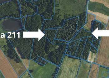 Las 1,67 ha – Dobry, gm. Godkowo