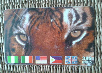 TYGRYS - DRAPIEŻNY SSAK Z RODZINY KOTOWATYCH