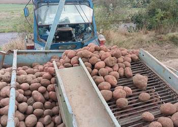 Kombajn do zbierania ziemniaków anna