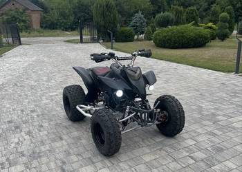 Quad bashan 250