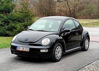 Volkswagen New Beetle Sunflower