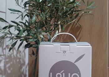 Naturalna włoska oliwa extra virgin coratina 3l