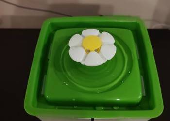 Poidło fontanna dla kotów