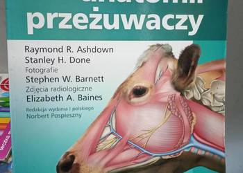 Atlas anatomii przeżuwaczy książki weterynarii studia księgarnia Warszawa