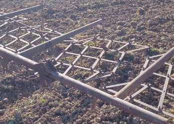 Sprzedam brony pięciopolowe Grudziądz