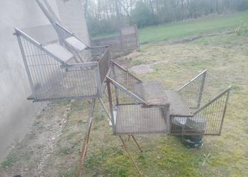 Sprzedam wloty do gołębi