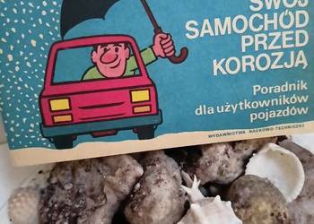 Chroń swój samochód przed korozją książki pierwsze wydanie Chroń swój samochód przed korozją książki pierwsze wydanie