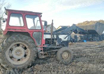 Massey Ferguson 1104