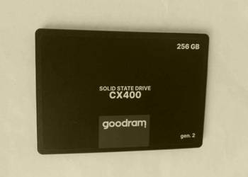Dysk SSD GODRAM 256GB