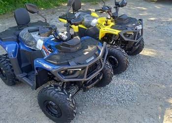 Quad Gladiator 110 XXL atv ASIX